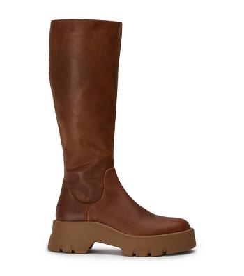 Botas de combate Tony Bianco Rage Cognac 5.5cm Marrones | ARQCS53206